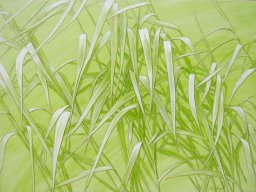 Wind III  90x120 cm